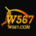 W567 Game